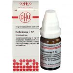 HELLEBORUS C12 GLOBULI 10 G