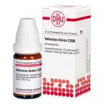 HELONIAS DIOICA C200 GLOBULI 10 G