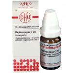 HAPLOPAPPUS C30 GLOBULI 10 G