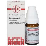HAPLOPAPPUS D2 GLOBULI 10 G