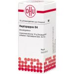 HAPLOPAPPUS D4 GLOBULI 10 G