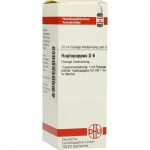 HAPLOPAPPUS D6 DILUIZIONE 20 ML