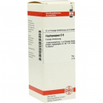 HAPLOPAPPUS D6 DILUIZIONE 50 ML