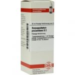 HARPAGOPHYTUM PROCUMBENS D2 DILUIZIONE 20 ML