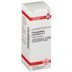 HARPAGOPHYTUM PROCUMBENS D3 DILUIZIONE 20 ML