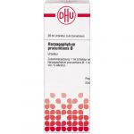 HARPAGOPHYTUM PROCUMBENS D1 TINTURA MADRE  20 ML