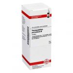 HARPAGOPHYTUM PROCUMBENS D1 TINTURA MADRE  50 ML