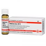 HEKLA LAVA E LAVA LM VI GLOBULI 5 G