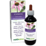 Echinacea Tintura madre 200 ml liquido analcoolico -