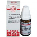 GINKO BILOBA D30 GLOBULI 10 G