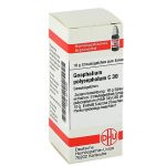 GNAPHALIUM POLYCEPHALUM C30 GLOBULI 10 G