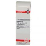 GNAPHALIUM POLYCEPHALUM D3 DILUIZIONE 20 ML