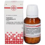 GNAPHALIUM POLYCEPHALUM D6 200 COMPRESSE