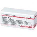 GRAFITE LM XII GLOBULI 5 G