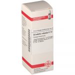 GRINDELIA ROBUSTA D12 DILUIZIONE 20 ML