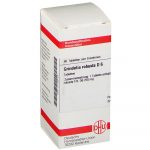 GRINDELIA ROBUSTA D6 80 COMPRESSE