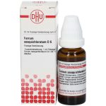 Ferrum sesquichloratum d6 diluizione 20 ml