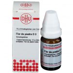 Flor de piedra d3 globuli 10 g