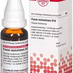 Fucus vesiculosus d12 diluizione 20 ml