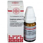 Galphimia glauca c6 globuli 10 g