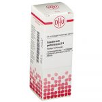 Eupatorium perfoliatum d8 diluizione 20 ml