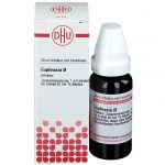 Euphrasia tintura madre 20 ml