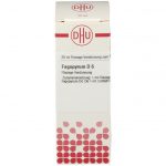 Fagopyrum d6 diluizione 20 ml