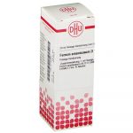 Ferrum Arsenicosum d12 diluizione 20 ml