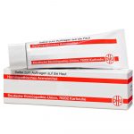 Echinacea HAB Salbe unguento 50 g