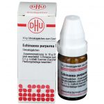 Echinacea purpurea d4 globuli 10 g