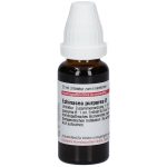 Echinacea purpurea tintura madre 20 ml