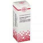 Equisetum arvense d12 diluizione 20 ml