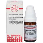 Equisetum arvense d4 globuli 10 g