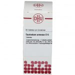 Equisetum arvense d6 80 compresse