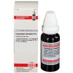 Equisetum hiemale d6 diluizione 20 ml