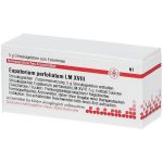 Eupatorium perfoliatum LM XVIII globuli 5 g