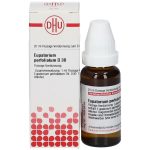 Eupatorium perfoliatum d30 diluizione 20 ml