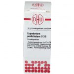 Eupatorium perfoliatum d30 globuli 10 g7,26