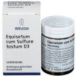 EQUISETUM CUM SULFURE tostum D 3 Triturazione 50 g
