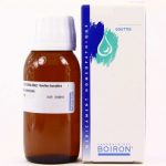 Ribes Nigrum Boiron 1DH gocce omeopatiche 60 ml