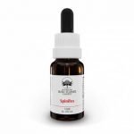 AUSTRALIAN BUSH FLOWER ESSENCES SPINIFEX gocce 15 ml
