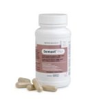 Dormavit Plus 60 capsule