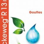 Dr Reckeweg R13 Prohamorrhin 50ml gocce