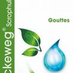 Dr Reckeweg R17 Scrophularia nod Comp. 50ml gocce