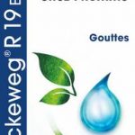 Dr Reckeweg R19 Euglandin-M 50ml gocce