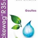 Dr Reckeweg R35 Chadontin 50ml gocce