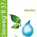 Dr Reckeweg R37 Colinteston 50ml gocce