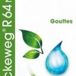 Dr Reckeweg R64 Nefralbina 50ml gocce
