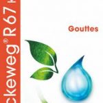 Dr Reckeweg R67 Kollapsin 50ml gocce