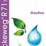 Dr Reckeweg R71 Ischialgin 50ml gocce